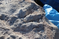 Lekcja prehistorii oraz gala rozdania nagr&oacute;d w konkursie &bdquo;Geologia&rdquo; w Polskiej Szkole Ekologii.