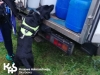 Amar i Dolar wspierają Policję w walce z narkotykami