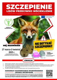 Akcja szczepienia lis&oacute;w.