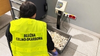 KAS zatrzymała 5 kg rafy koralowej z Seszeli na warszawskim lotnisku