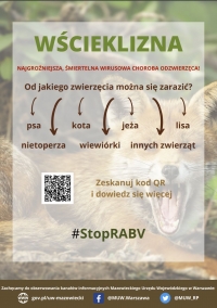 Wścieklizna